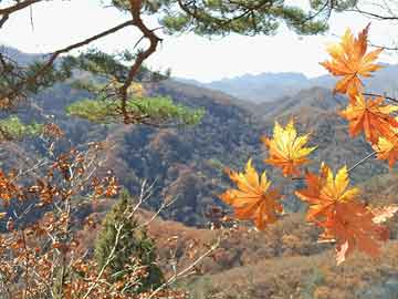 中山航天城最新消息